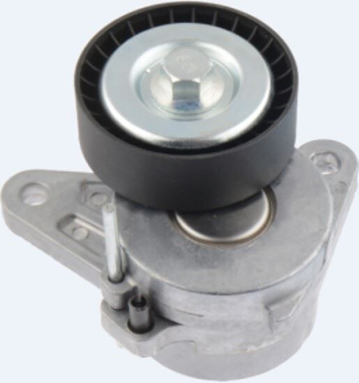 Volkswagen V KAYIŞ GERGİ BİLYASI KOMPLE KÜTÜKLÜ 10 GOLF7-A3-LEON-CADDY-TİGUAN ABA 255005521 04L903315A ZC-9