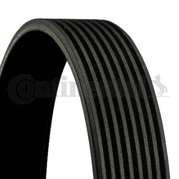 8PK1545 Multi V-Belt