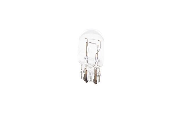 AMPUL - PURE LİGHT - 12 V - W21/5W - 21/5 W - W3X16Q W21/5W