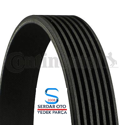 FORD TRANSİT V347 V KAYIŞI 7PK2842 Contitech 6C1Q6C307HC