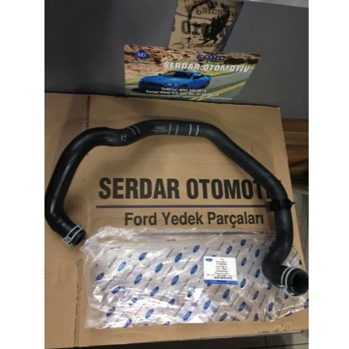 Radyatör üst hortumu 1.5 1.6 tdci Focus F1F18260HF