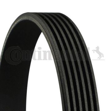 6PK1033 ELAST Multi V-Belt Elast