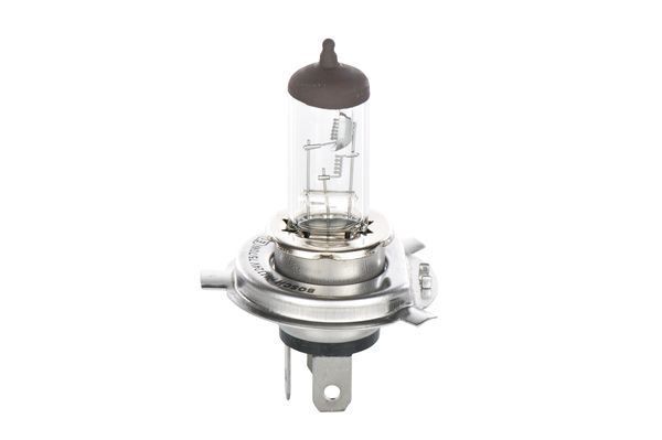 AMPUL - ECO TRUCK - 24 V - H4 - 75/70 W - P43T