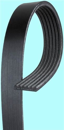 KANALLI KAYIŞ FORD 1.6 16V GO6PK1925 68439